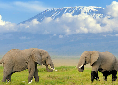 3 days  2 Nights Tsavo East