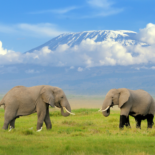 Safari 3 giorni 2 notti Tsavo est e Amboseli