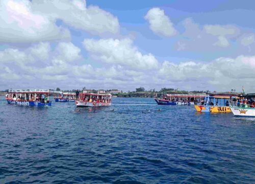 Safari Blue Mangrovie Mida Creek