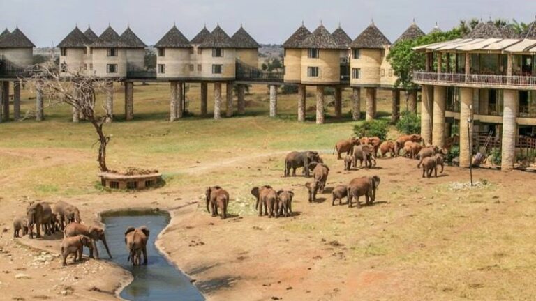 Saltlick taita hills2